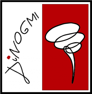 Logo dinogmi